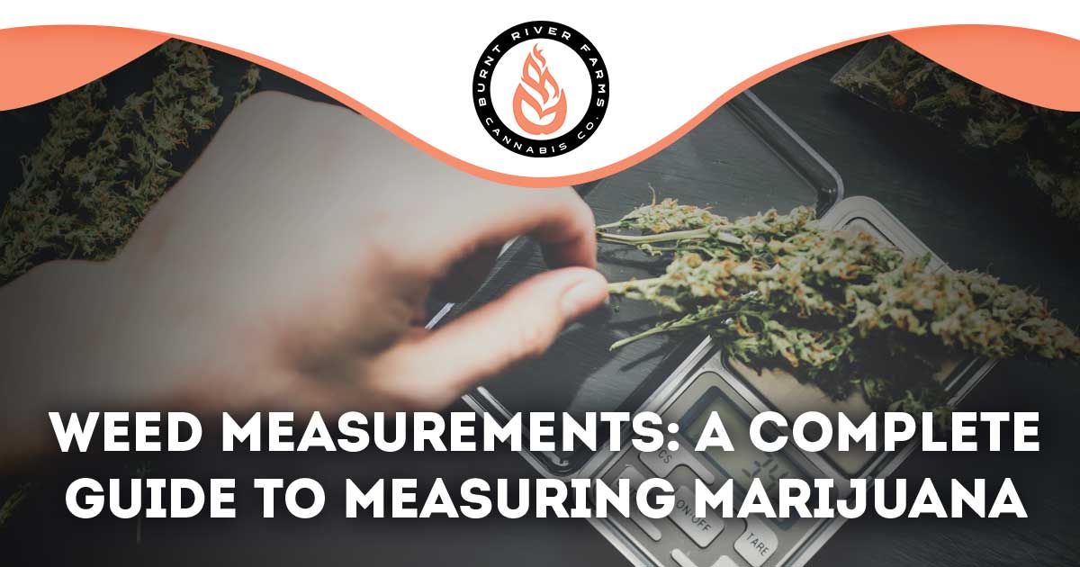 Weed Measurements [Visual Guide With Graphics] - The Sanctuary